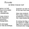 Poveste Stefan Octavian Iosif