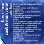 ce a vrut sa spuna poetul