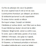 Sub munti figuri de stil