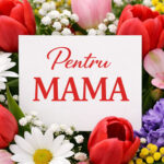 MAMA compunere