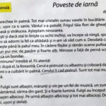 monica rohan povesti