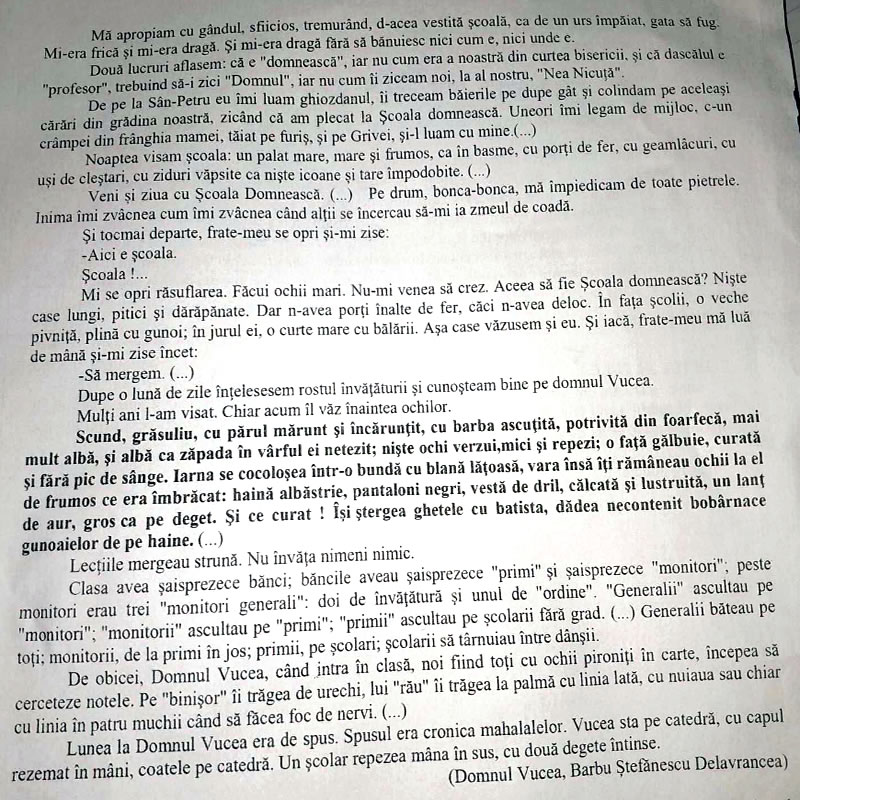 Rezumat Domnul Vucea